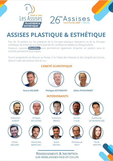 ASSISES PLASTIQUE ET ESTHETIQUE 